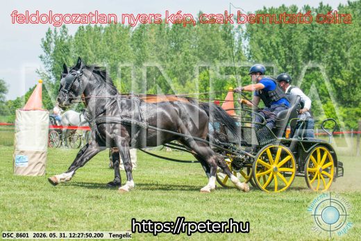 Mintakép 20260531-1644