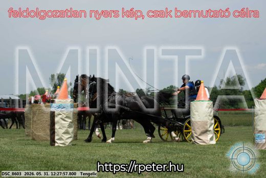 Mintakép 20260531-1646