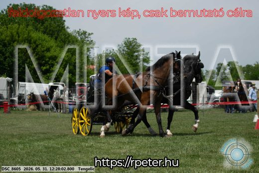 Mintakép 20260531-1648