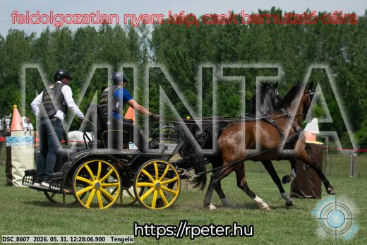 Mintakép 20260531-1650