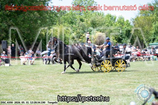Mintakép 20260531-1652