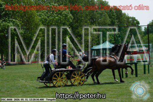Mintakép 20260531-1654