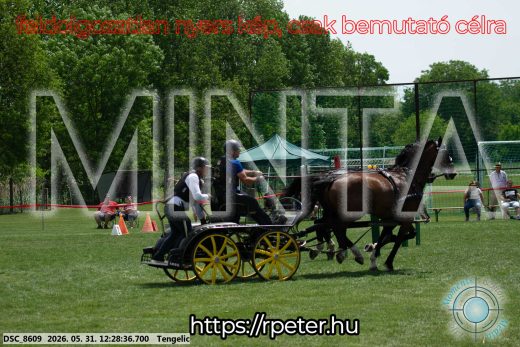 Mintakép 20260531-1655