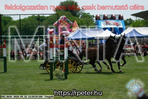 Mintakép 20260531-1656