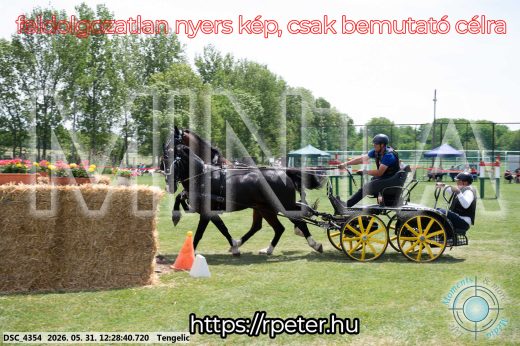 Mintakép 20260531-1659