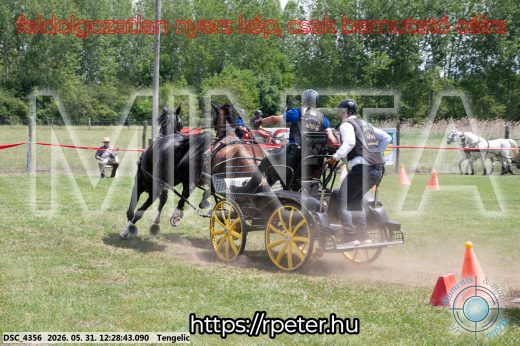 Mintakép 20260531-1661