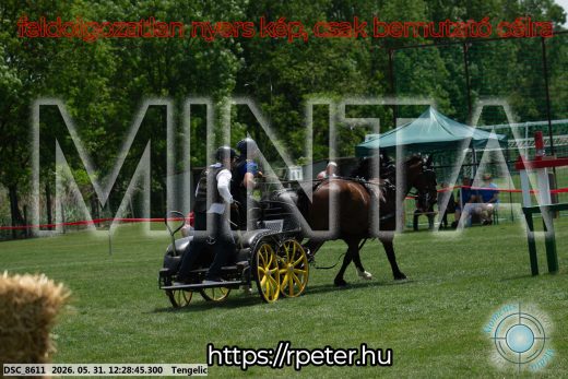 Mintakép 20260531-1662