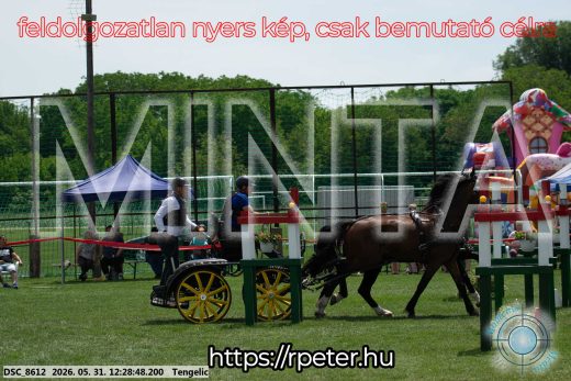 Mintakép 20260531-1663