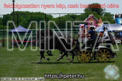 Mintakép 20260531-1664