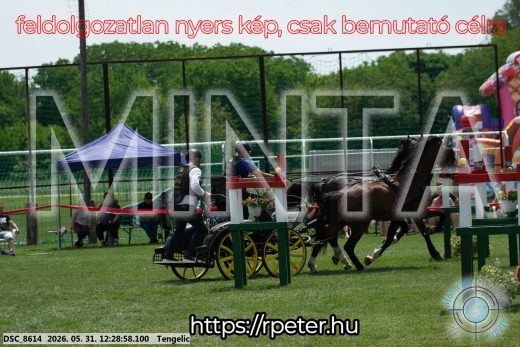 Mintakép 20260531-1665