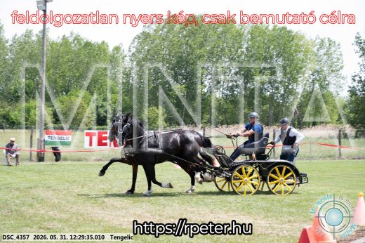 Mintakép 20260531-1667
