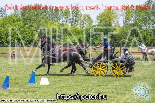 Mintakép 20260531-1669