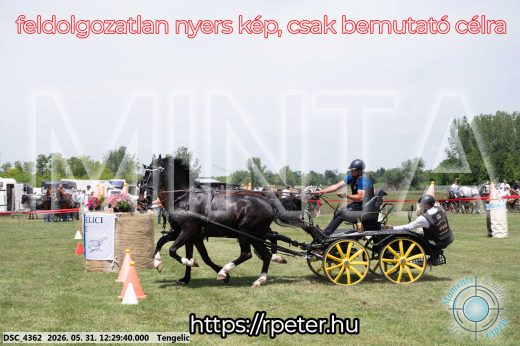 Mintakép 20260531-1672