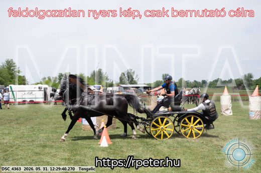Mintakép 20260531-1673