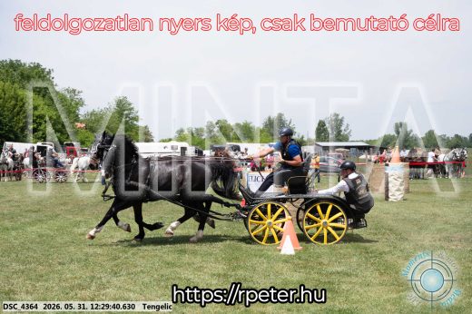 Mintakép 20260531-1674