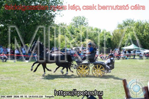 Mintakép 20260531-1675