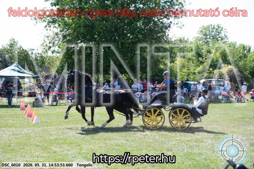 Mintakép 20260531-1676