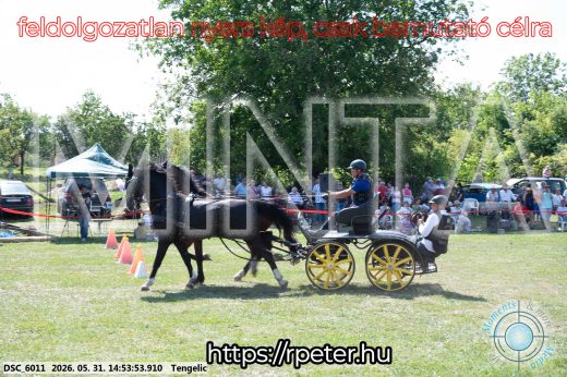 Mintakép 20260531-1677