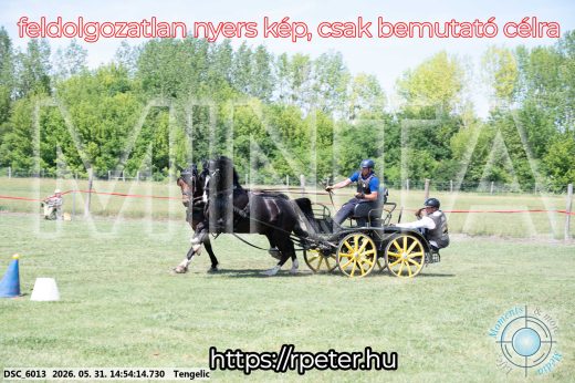 Mintakép 20260531-1679