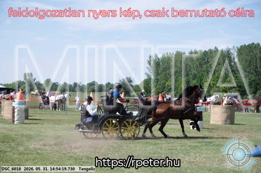 Mintakép 20260531-1681
