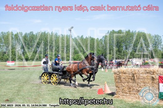 Mintakép 20260531-1682