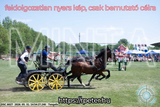 Mintakép 20260531-1685