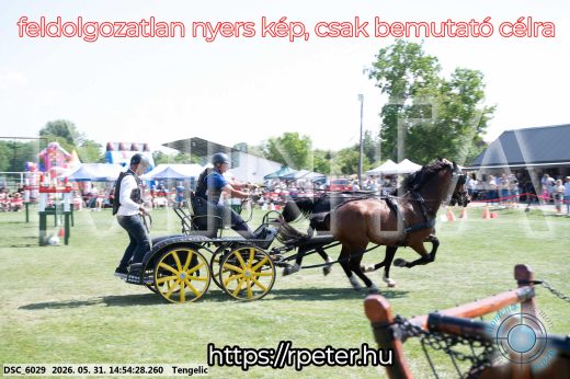 Mintakép 20260531-1686