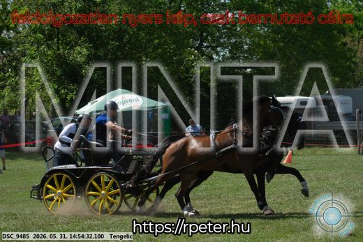 Mintakép 20260531-1690