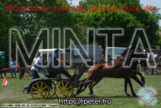 Mintakép 20260531-1691