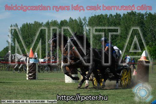 Mintakép 20260531-1692