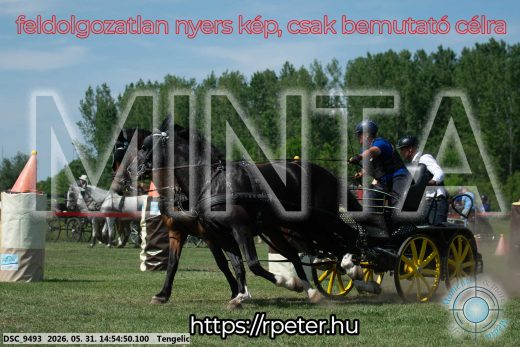 Mintakép 20260531-1693