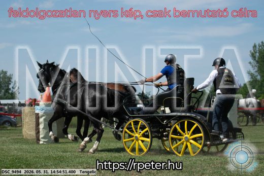 Mintakép 20260531-1694