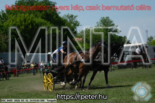 Mintakép 20260531-1695