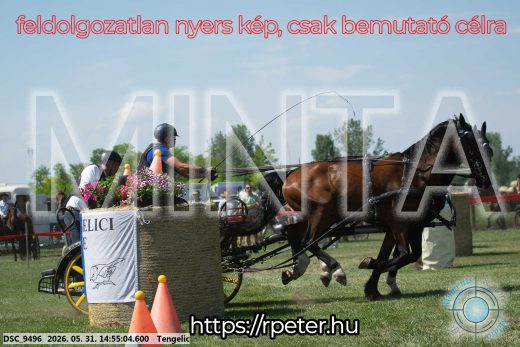 Mintakép 20260531-1696