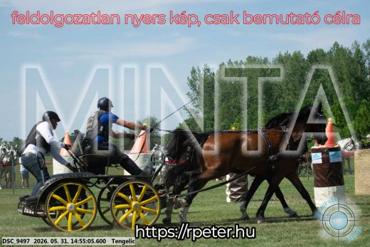 Mintakép 20260531-1697