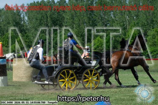 Mintakép 20260531-1698