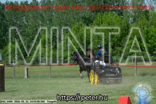 Mintakép 20260531-1699