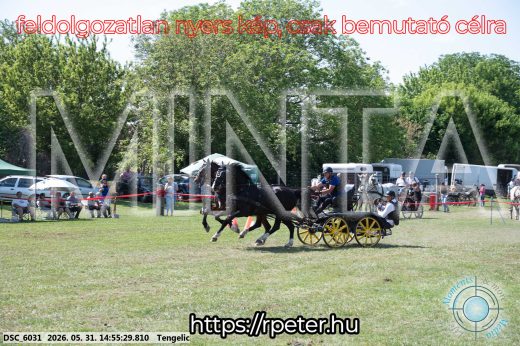 Mintakép 20260531-1701