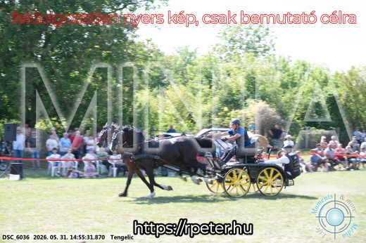 Mintakép 20260531-1705