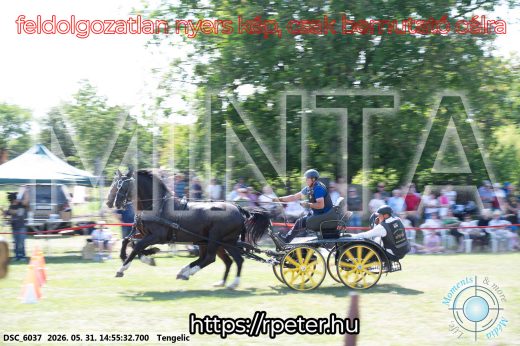 Mintakép 20260531-1706