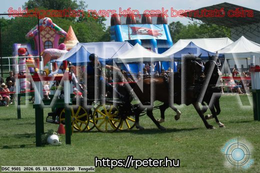 Mintakép 20260531-1707