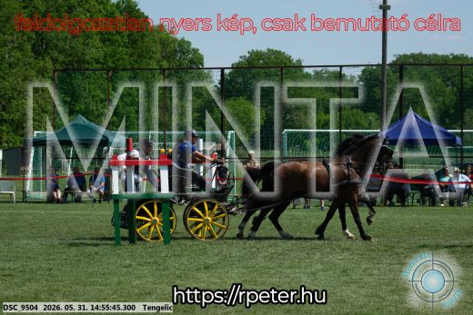 Mintakép 20260531-1711