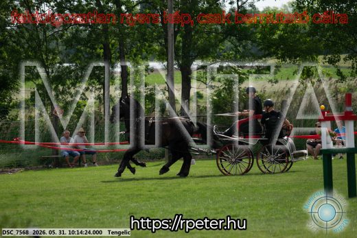 20260531-101424-DSC_7568.jpg
