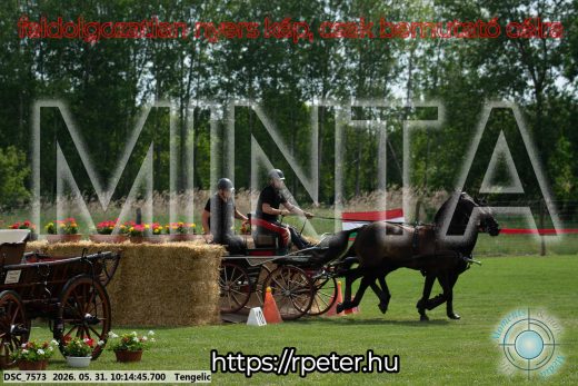 Mintakép 20260531-1722