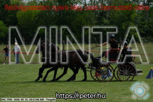 Mintakép 20260531-1731