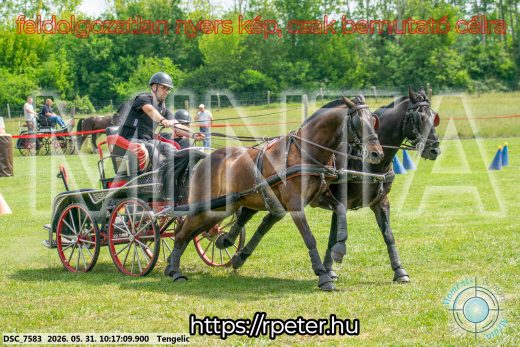 Mintakép 20260531-1733