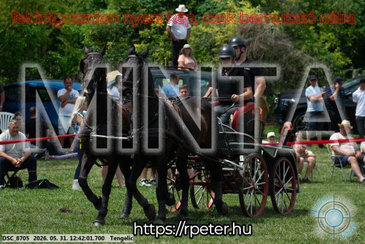 Mintakép 20260531-1734