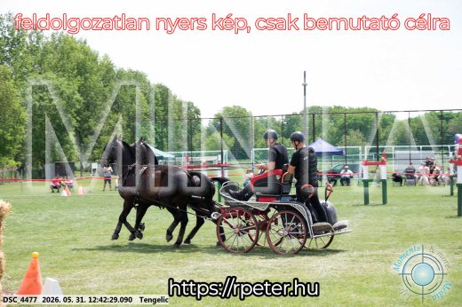 Mintakép 20260531-1737