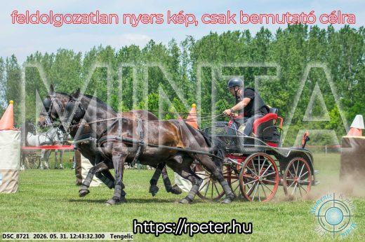 Mintakép 20260531-1753