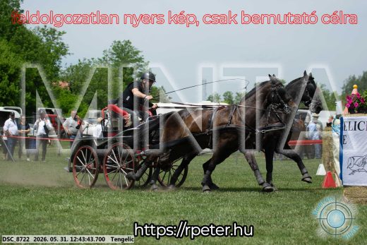 Mintakép 20260531-1754